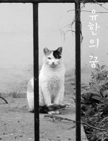 유한의 꿈