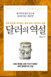 달러의 역설 표지 이미지