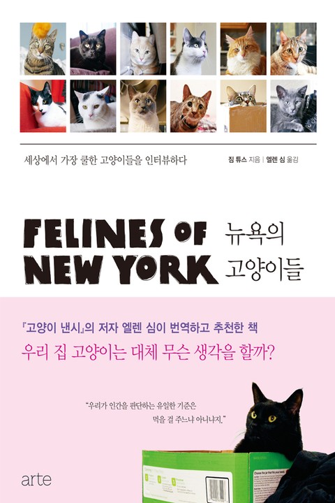 뉴욕의 고양이들 표지 이미지