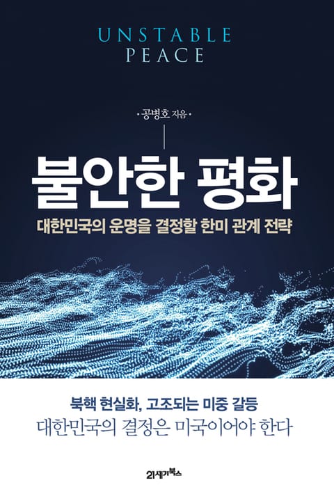 불안한 평화 표지 이미지