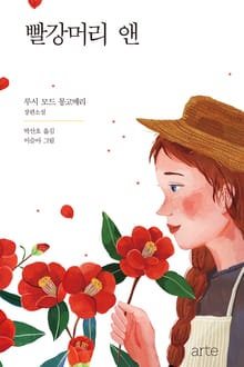 소설 빨강머리 앤 일러스트에디션