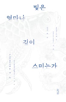 빛은 얼마나 깊이 스미는가