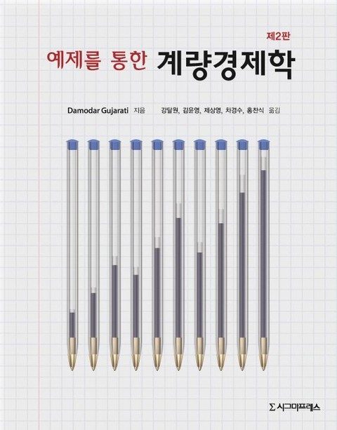 예제를 통한 계량경제학, 제2판 표지 이미지