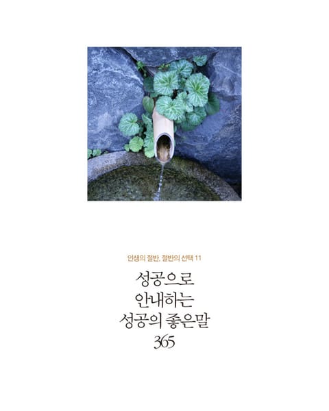 성공으로 안내하는 성공의 좋은 말 365 표지 이미지