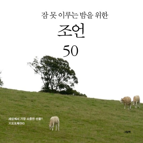 잠 못 이루는 밤을 위한 조언 50 표지 이미지