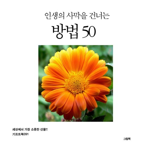 인생의 사막을 건너는 방법 50 표지 이미지