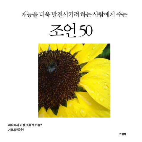 재능을 더욱 발전시키려 하는 사람에게 주는 조언 50 표지 이미지