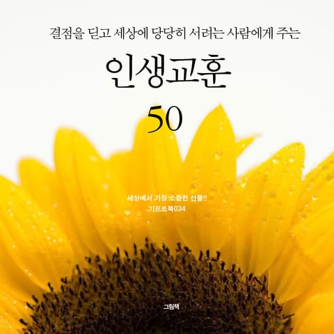 결점을 딛고 세상에 당당히 서려는 사람에게 주는 인생교훈 50 표지 이미지