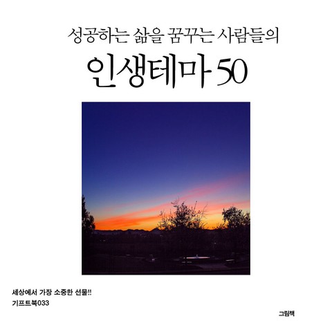 성공하는 삶을 꿈꾸는 사람들의 인생테마 50 표지 이미지