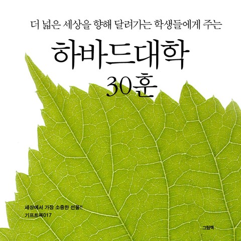 더 넓은 세상을 향해 달려가는 학생들에게 주는 하바드대학 30훈 표지 이미지