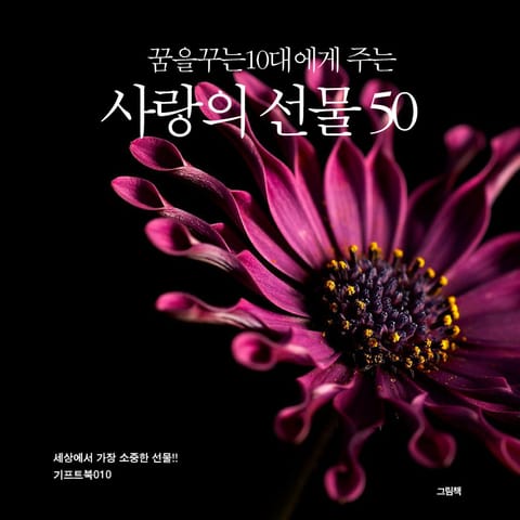 꿈을 꾸는 10대에게 주는 사랑의 선물 50 표지 이미지