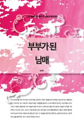 다시 읽어야할 우리 역사속의 야담열전 - 부부가 된 남매 표지 이미지