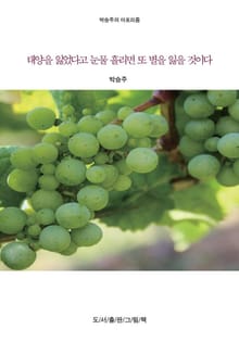 박승주의 세상에 대한 아포리즘 4권