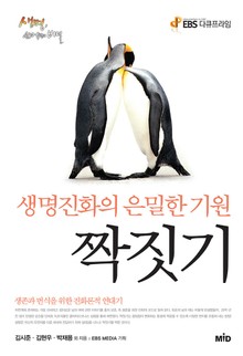 짝짓기