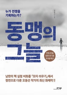동맹의 그늘