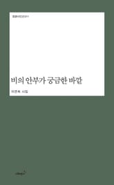 비의 안부가 궁금한 바깥 표지 이미지
