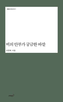 비의 안부가 궁금한 바깥