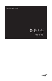 불 끈 사랑