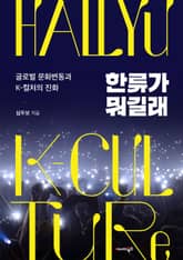 한류가 뭐길래 표지 이미지
