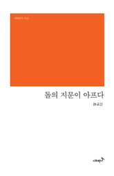 돌의 지문이 아프다 표지 이미지