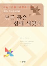 모든 돌은 한때 새였다 표지 이미지