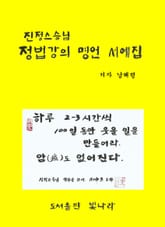 진정스승님 정법강의 명언 서예집 표지 이미지