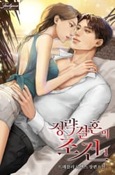 정략결혼의 조건 표지 이미지