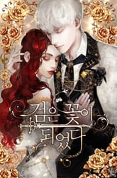 검은 꽃이 되었다 표지 이미지