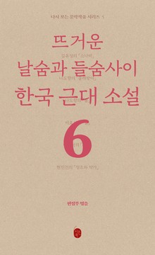다시 보는 문학작품 - 뜨거운 날숨과 들숨사이 한국 근대소설