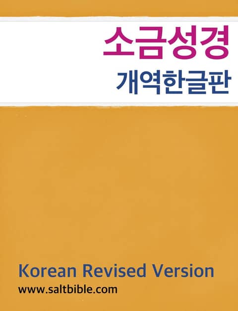 [체험판] 소금성경 개역한글판 표지 이미지