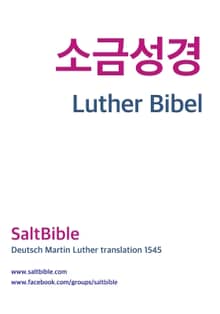 Luther Bibel 1545