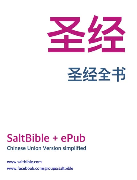 Chinese Union Version simplified 중국어 간체 성경 표지 이미지