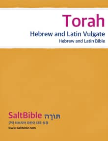 Torah - Hebrew and Latin Vulgate