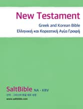 신약 전서 - 그리스어 한글 대조 성경 표지 이미지