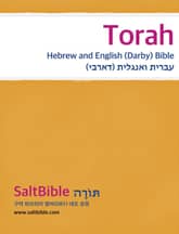 [체험판] Torah - Hebrew and English (Darby) Bible 표지 이미지