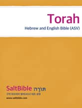 Torah - Hebrew and English Bible (ASV) 표지 이미지