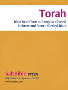 Torah - Bible hébraïque et française (Darby)