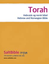 Torah - Hebraisk og norsk bibel 표지 이미지