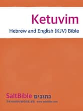 Ketuvim - Hebrew and English (KJV) Bible 표지 이미지