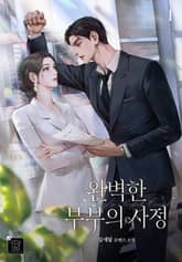 완벽한 부부의 사정 표지 이미지