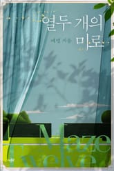 열두 개의 미로 표지 이미지