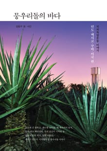 뭉우리돌의 바다(미국 2편)