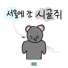 서울에 간 시골쥐