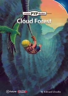 Cloud Forest