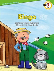 Bingo