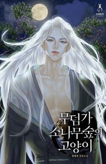 무덤가 소나무 숲의 고양이