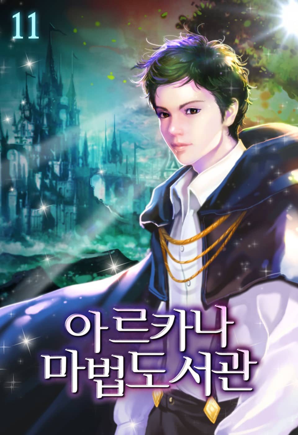 아르카나 마법도서관 11권