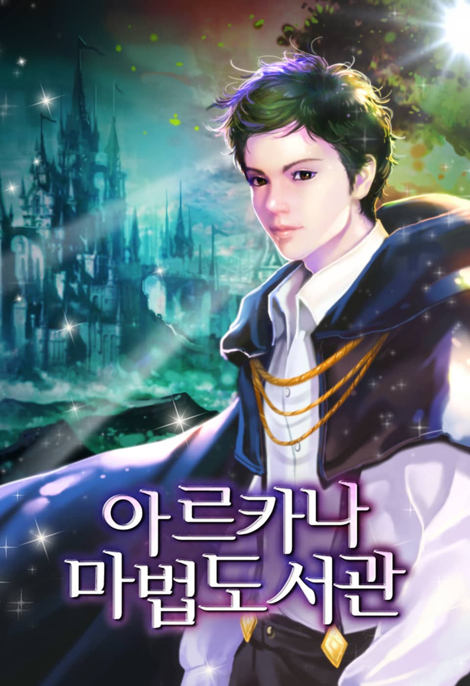 아르카나 마법도서관 12권