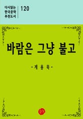 바람은 그냥 불고 표지 이미지