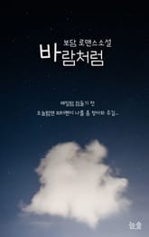 바람처럼 표지 이미지